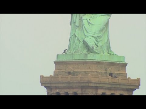 New York: Freiheitsstatue nach Protestaktion geräumt | DER SPIEGEL