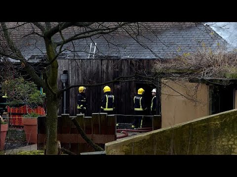Brand im Londoner Zoo: Erdferkel &quot;Misha&quot; gestorben, mehrere Erdmännchen werden vermisst
