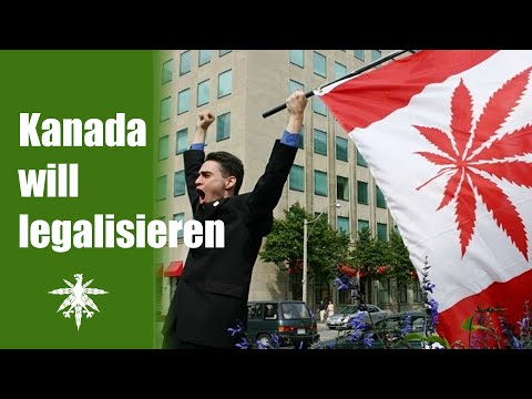 Kanada will legalisieren | UNO verwirrt | DHV News #55