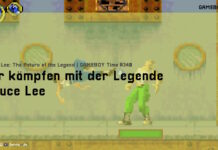 Wir kämpfen mit der Legende | Bruce Lee: Return of the Legend | GAMEBOY Time | #340