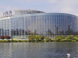 EU-Parlament stimmt für gelockerte Gentechnikregeln