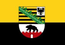 Haseloff will Vorzeitig als Ministerpräsident abtreten